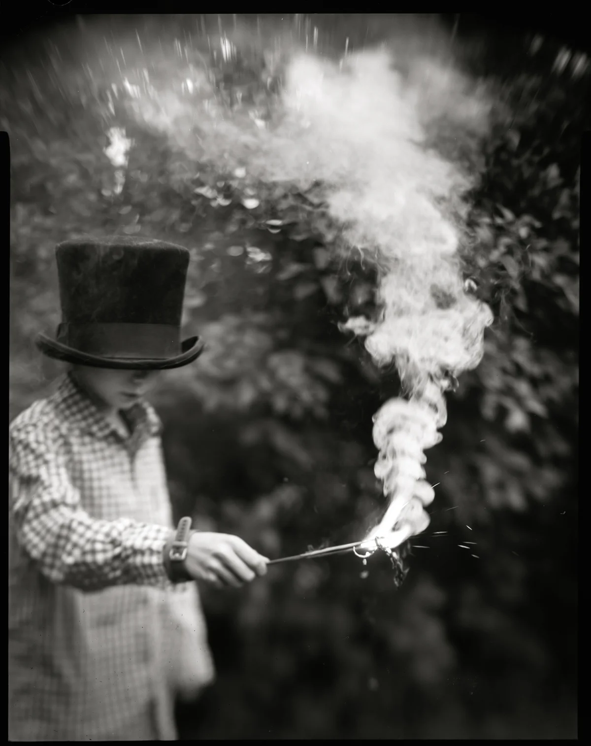 Backyard Magic by Kate Miller-Wilson