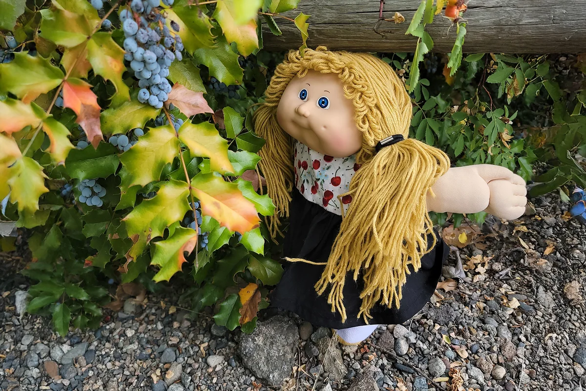 abbage patch kid,outside examining the grapes