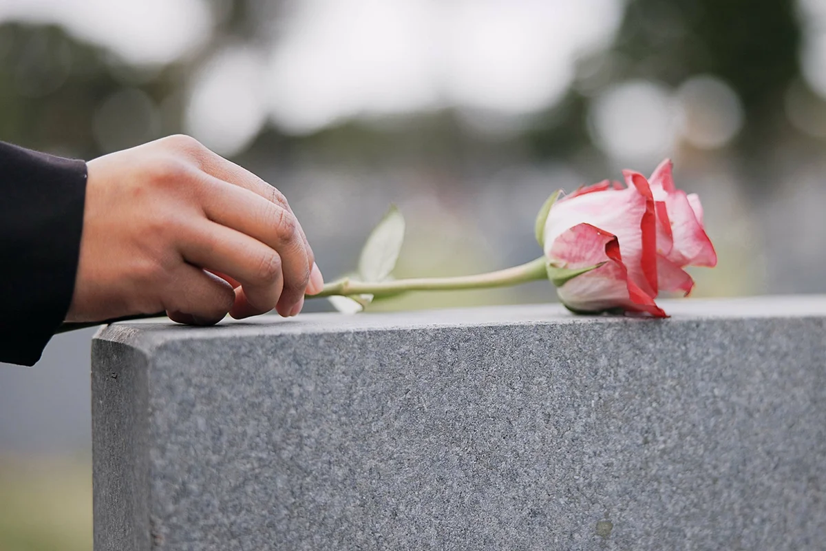 cemetery and hands with rose on tombstone for remembrance