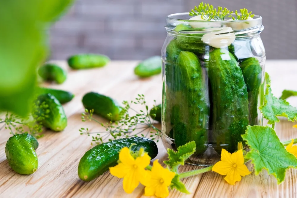 pickling cucumbers