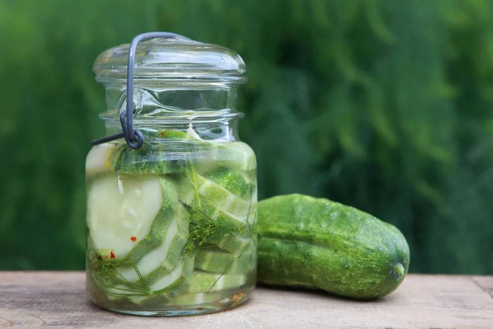refrigerator dill pickles