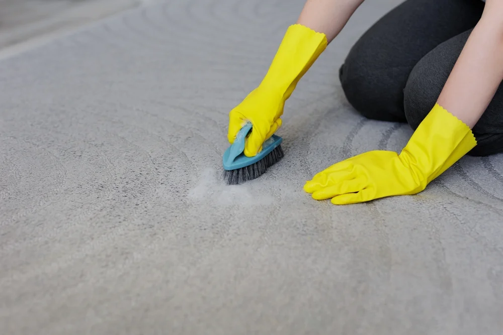cleaning a carpet