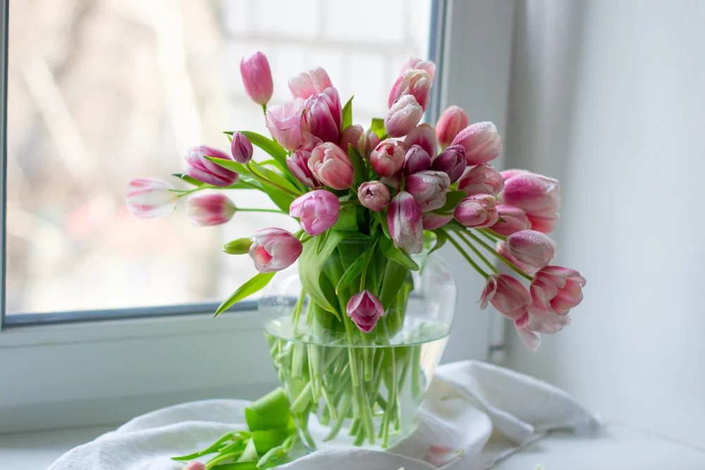 Tulip bouquet