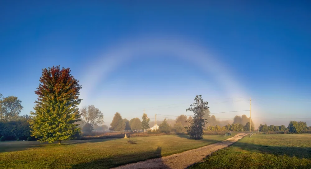 fogbow