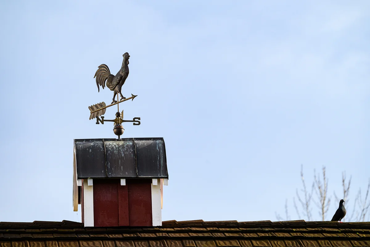 Copper rooster weathervane on a red barn with a pigeon for company