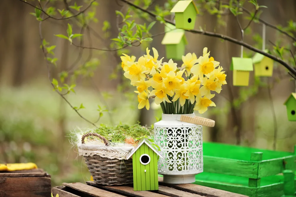 Spring vignette