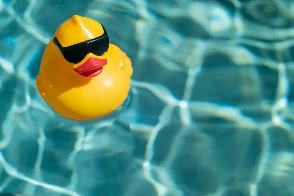 rubber duck floating in a pool