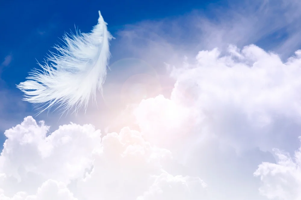 white feather against a cloudy blue sky
