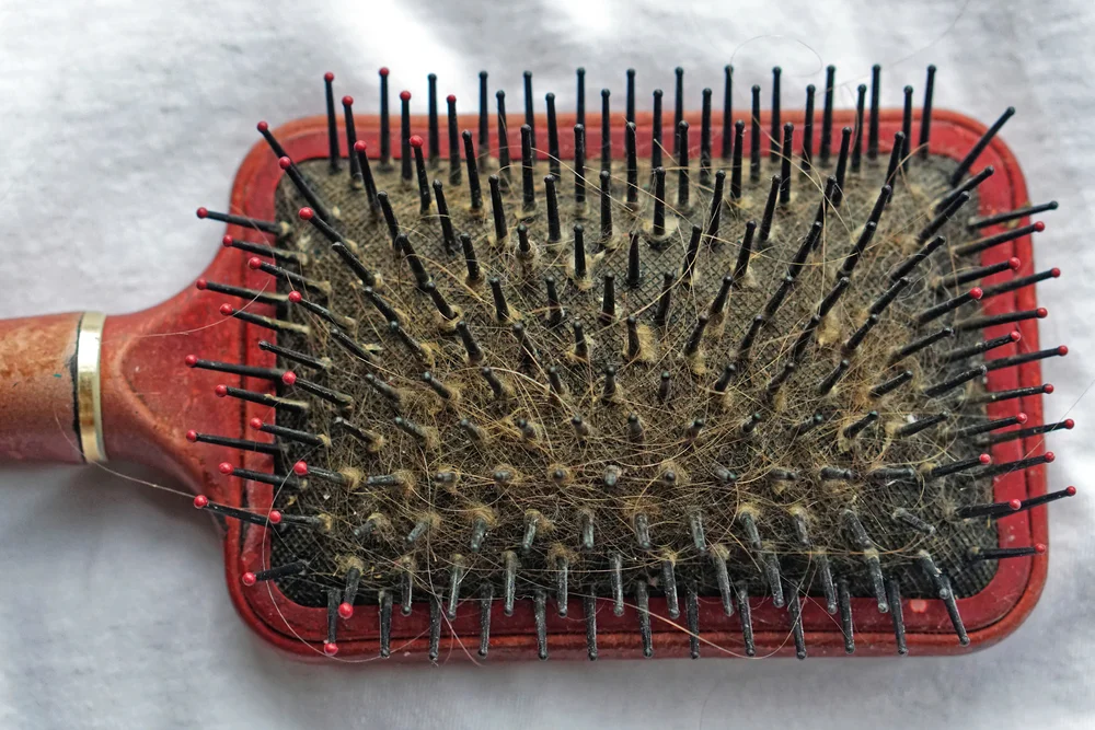 worn out, dirty old hairbrush