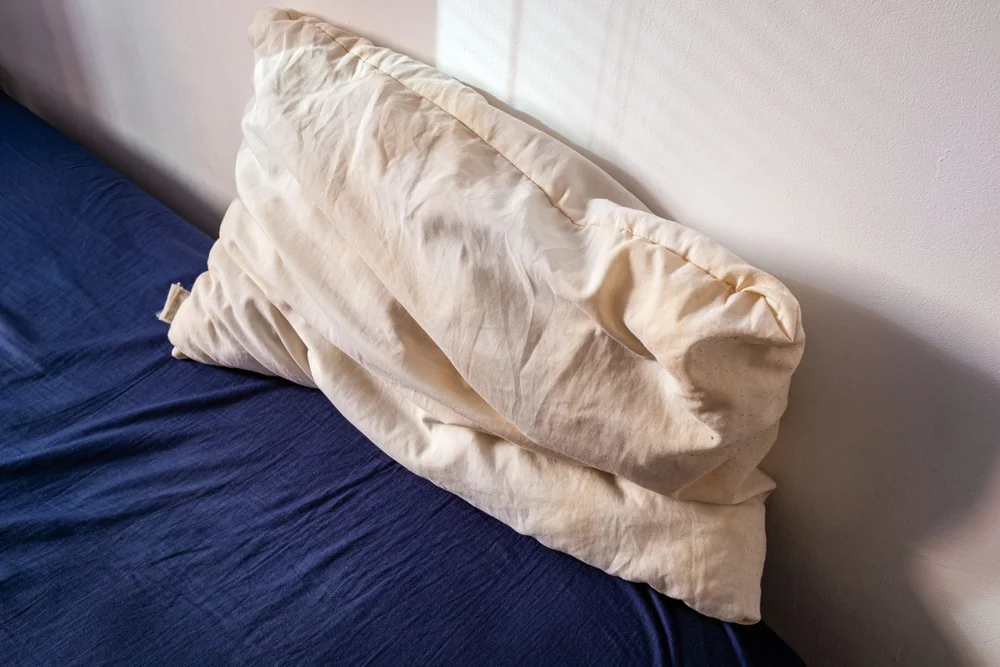 beat-up old pillow