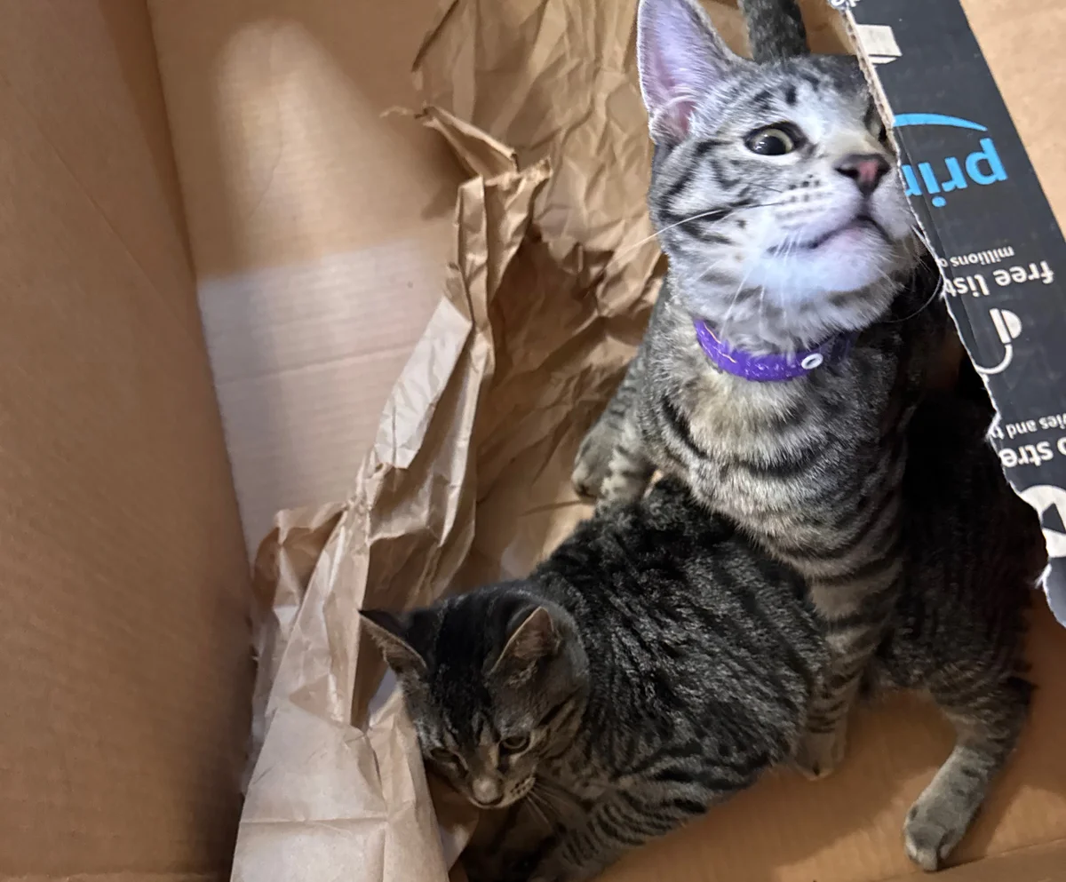 Sedona and Bryce in a box