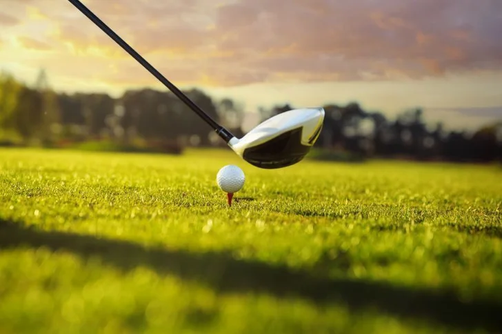 Golf ball teed up