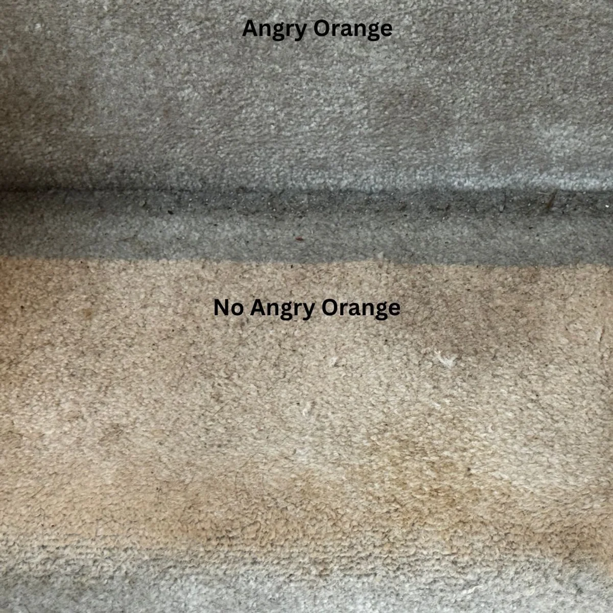 Pet-stained carpet with & without Angry Orange