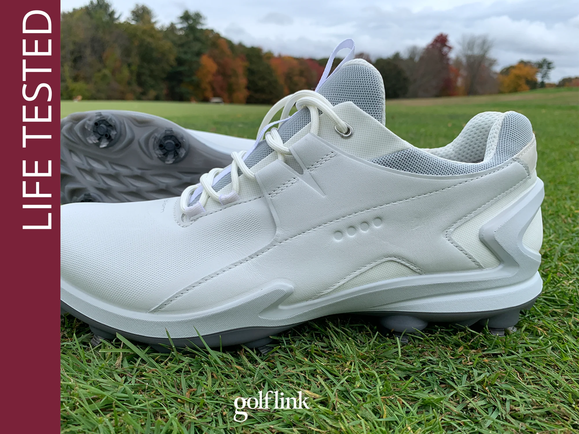 ECCO BIOM Tour golf shoe