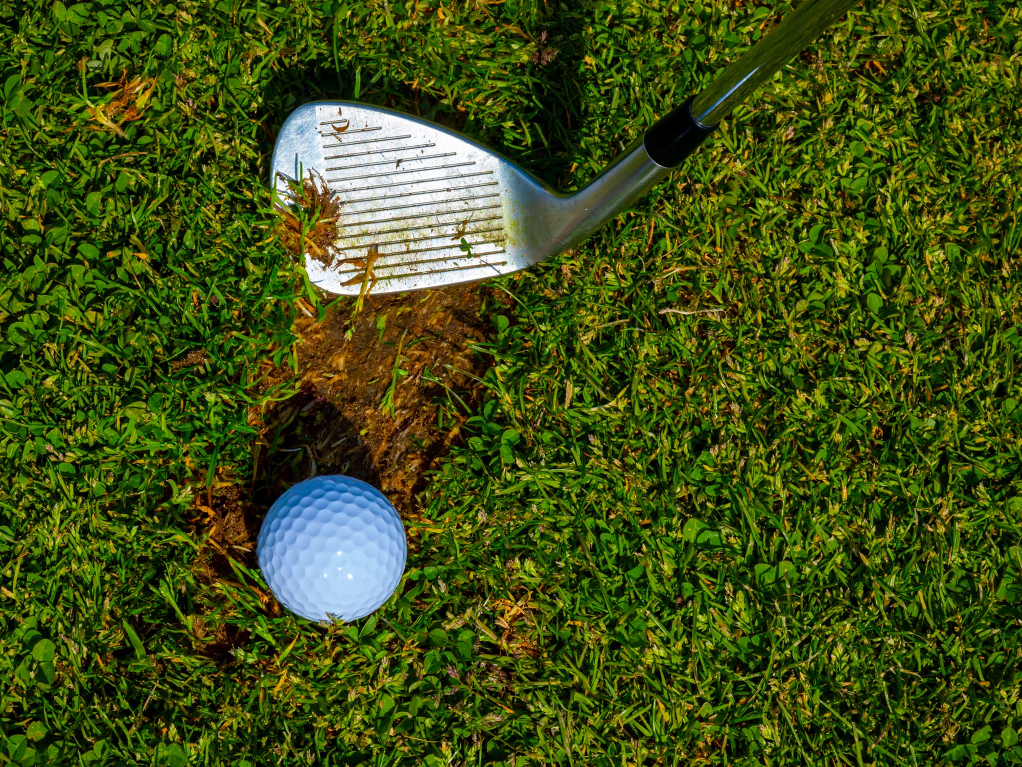 Golf ball sitting in a divot in the fairway