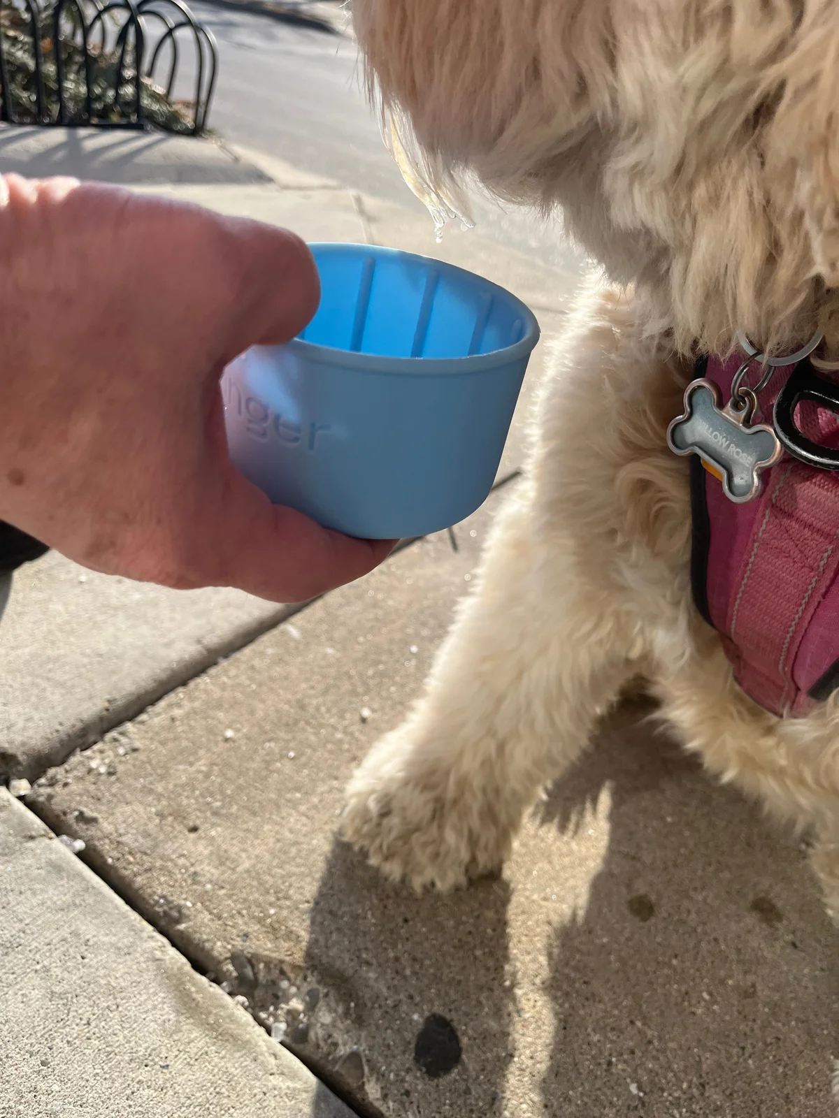 Laura S's dog using the dog water bottle
