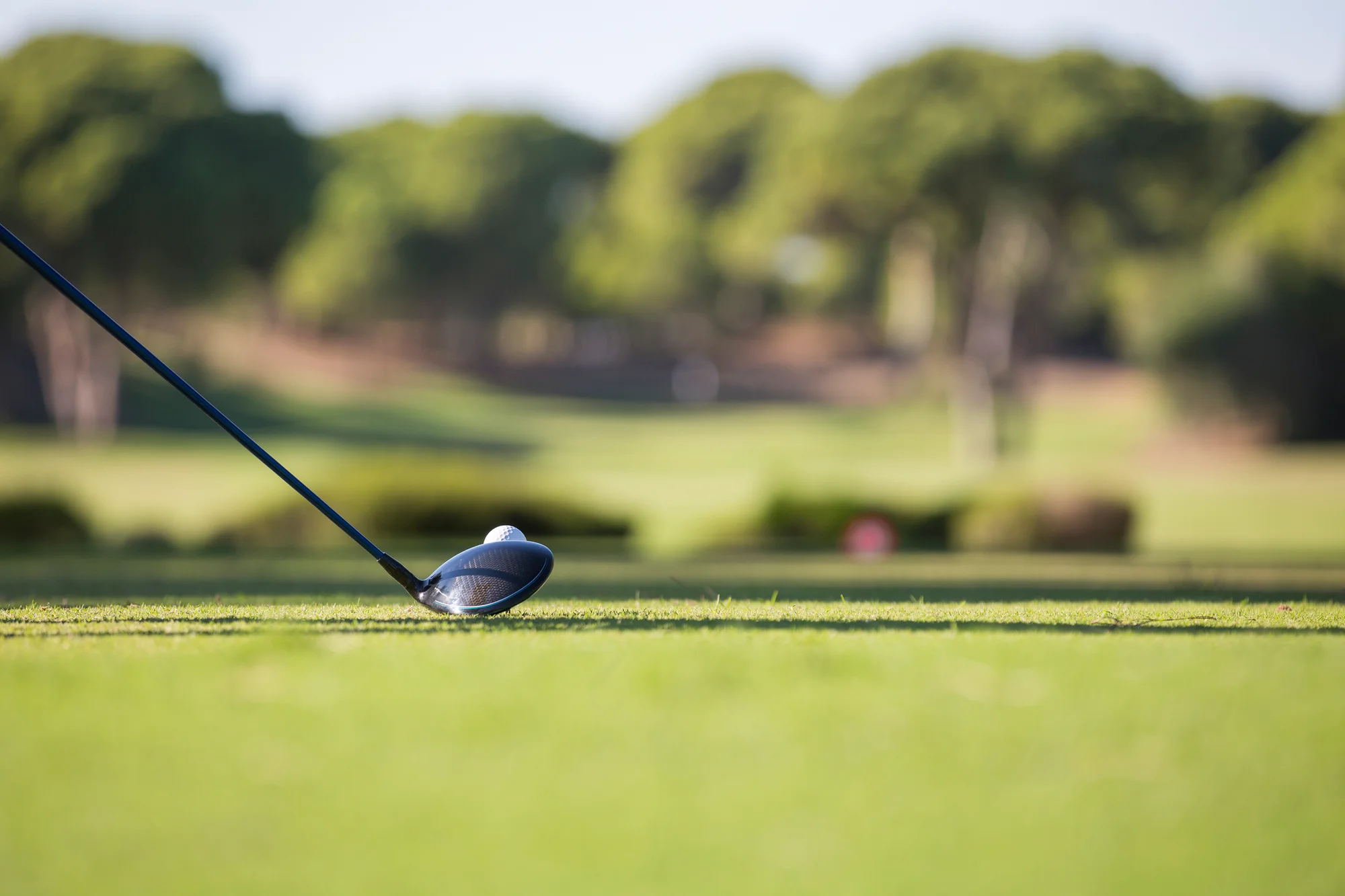 Golf driver at address
