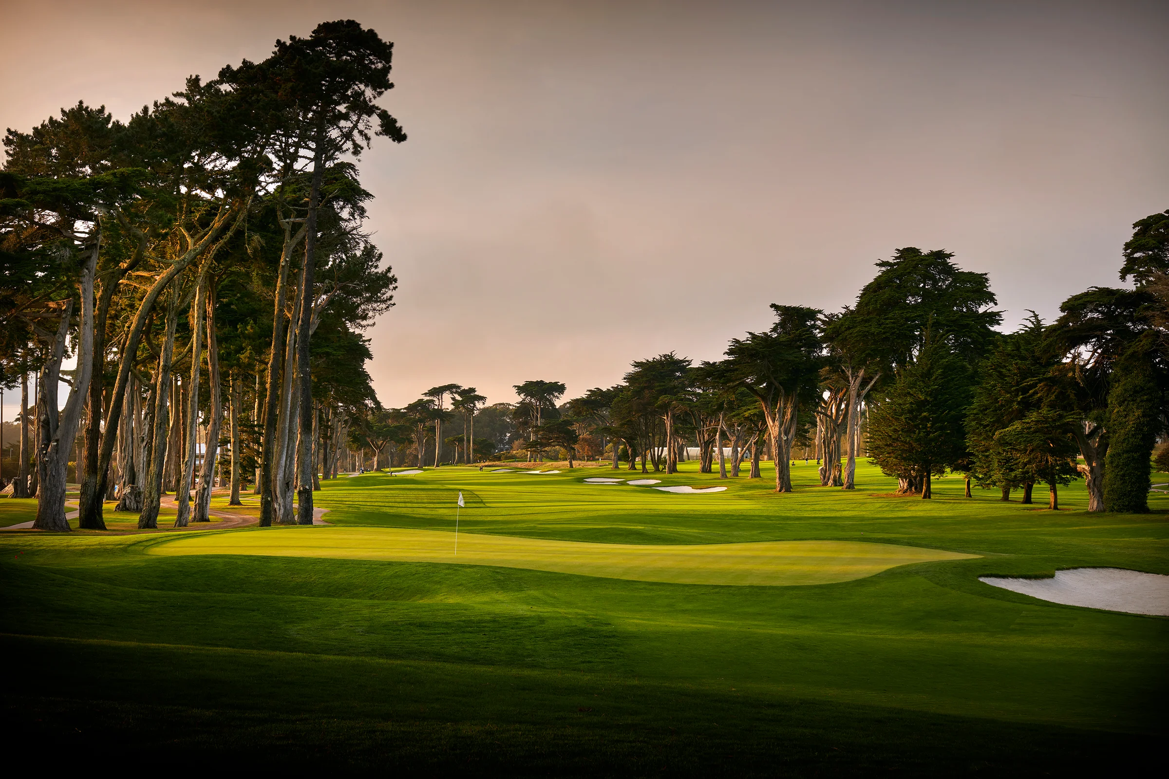 TPC Harding Park