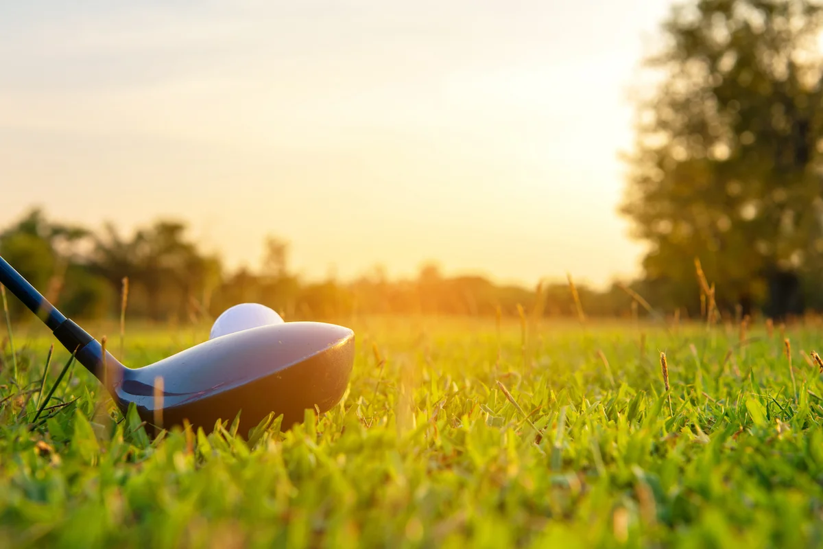 fairway wood next to golf ball