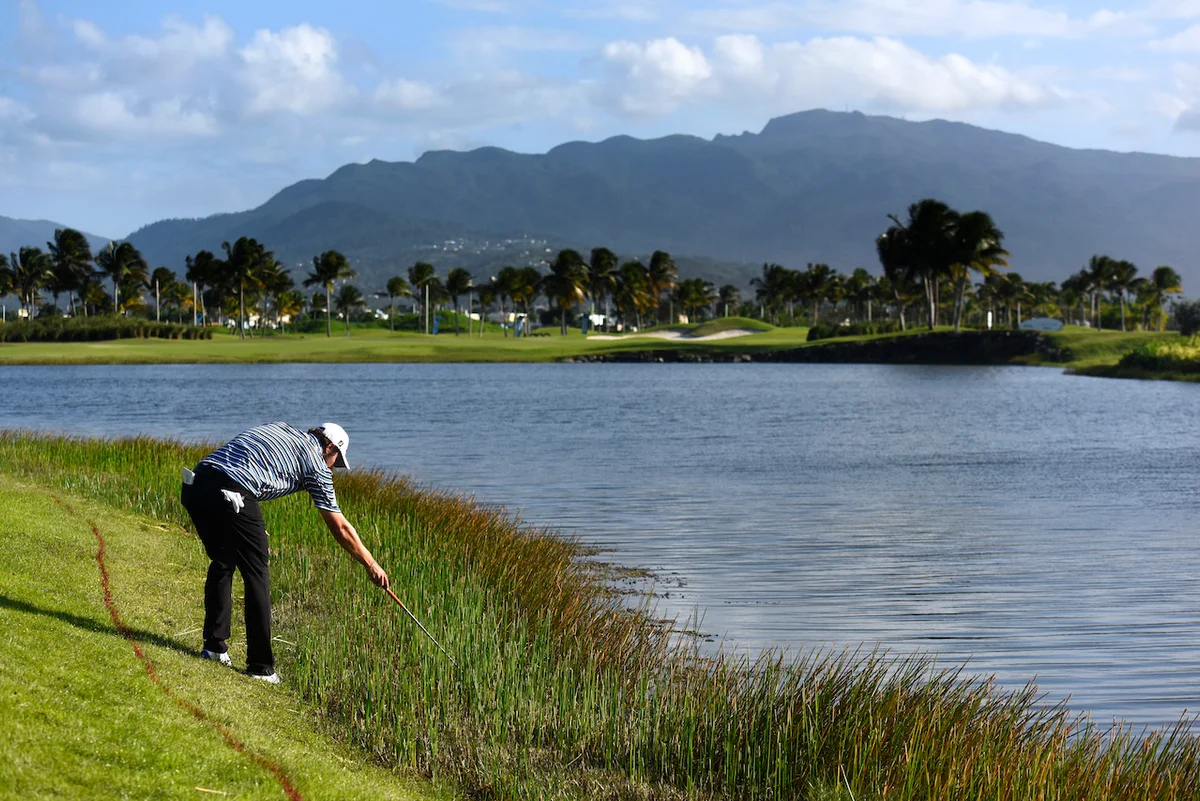 Golfer looking for ball out of bounds