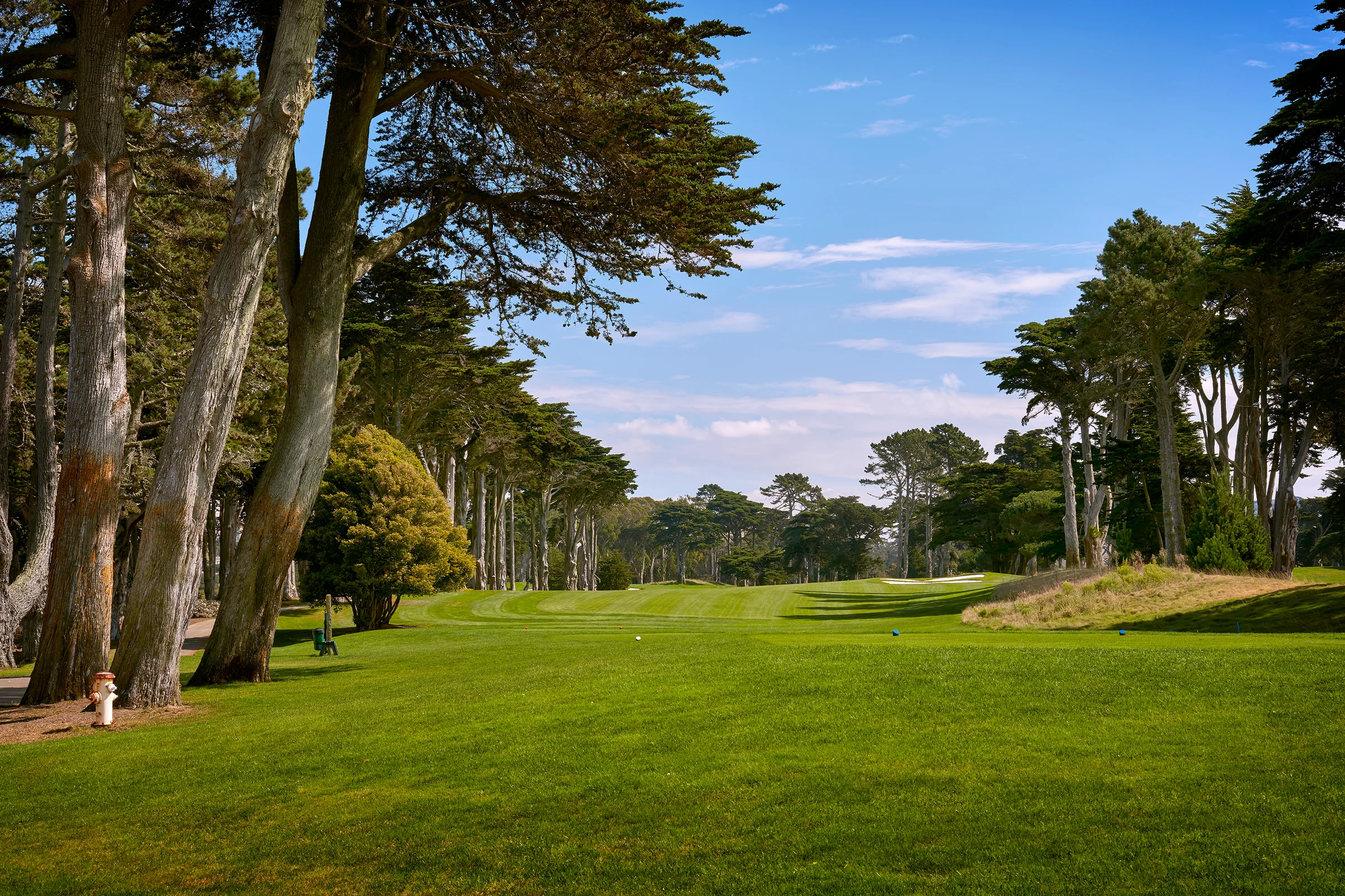 TPC Harding Park 10th hole