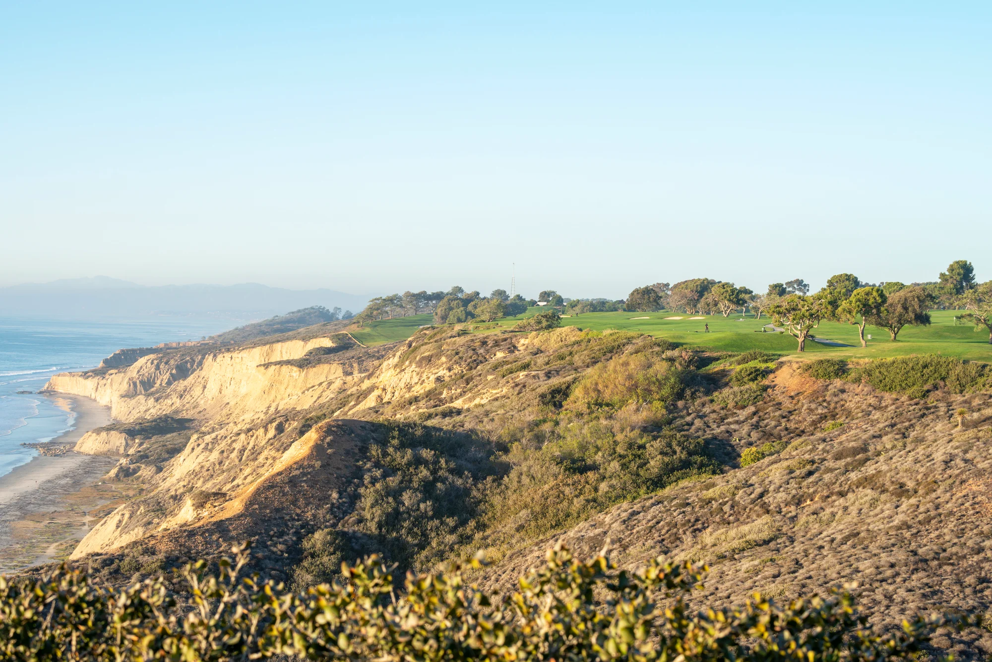 Torrey Pines Golf Course