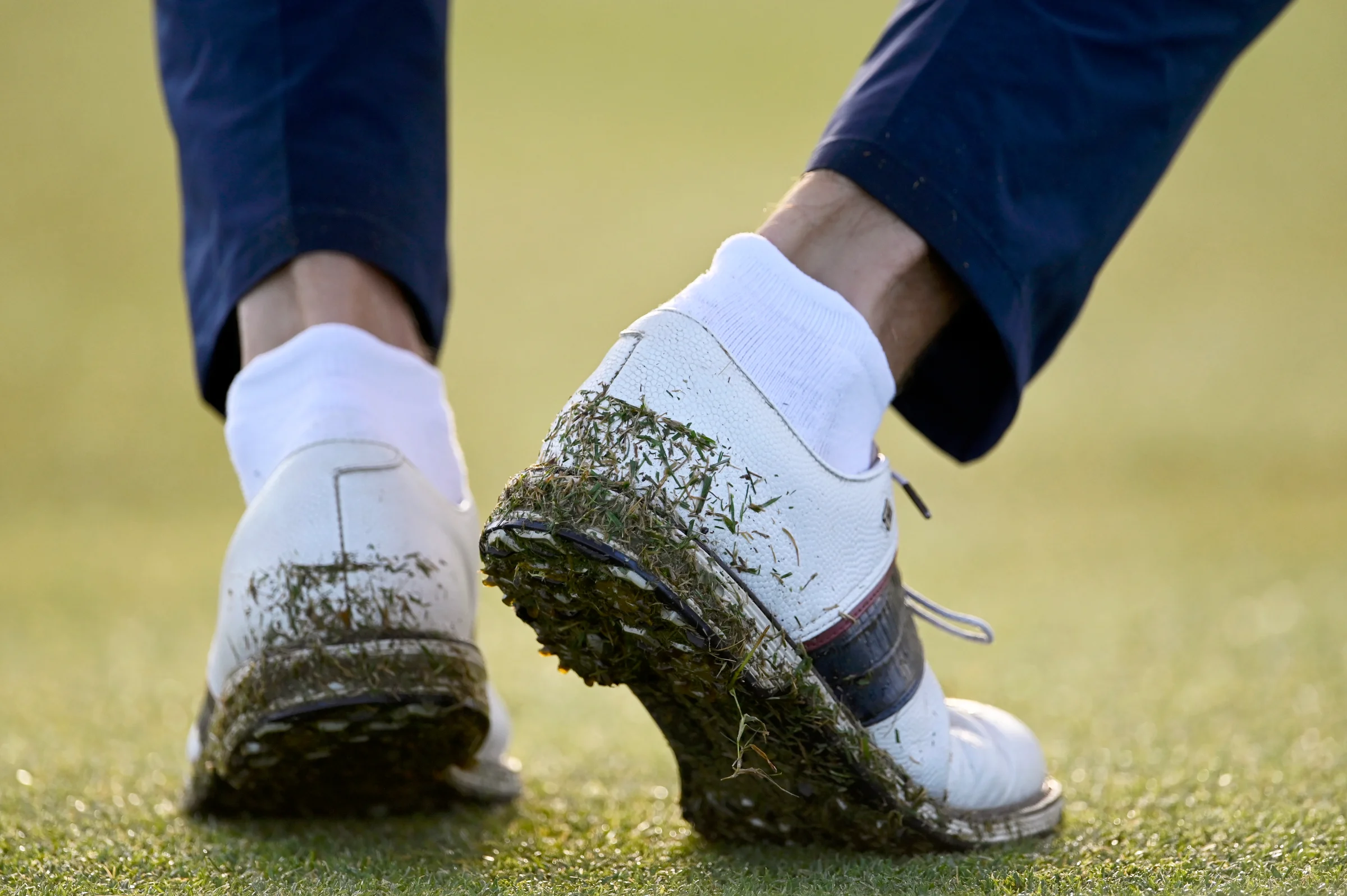 Wet golf shoes covered in blades of grass