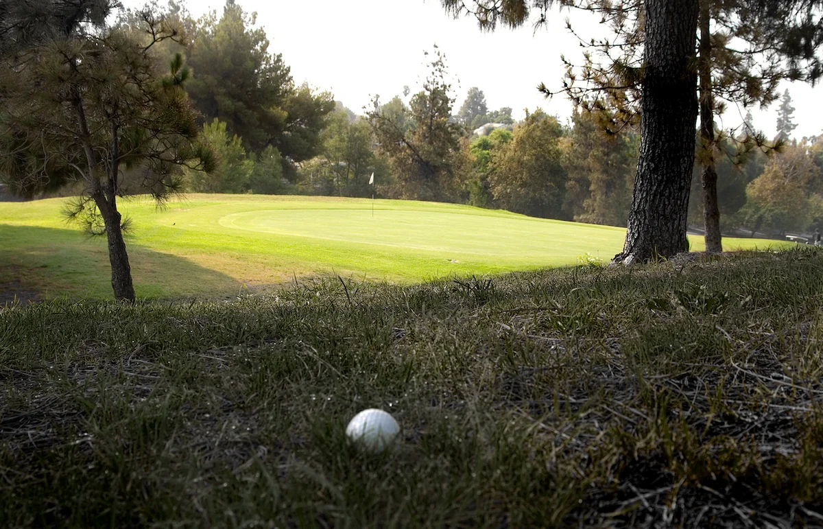 ball out of bounds in rough