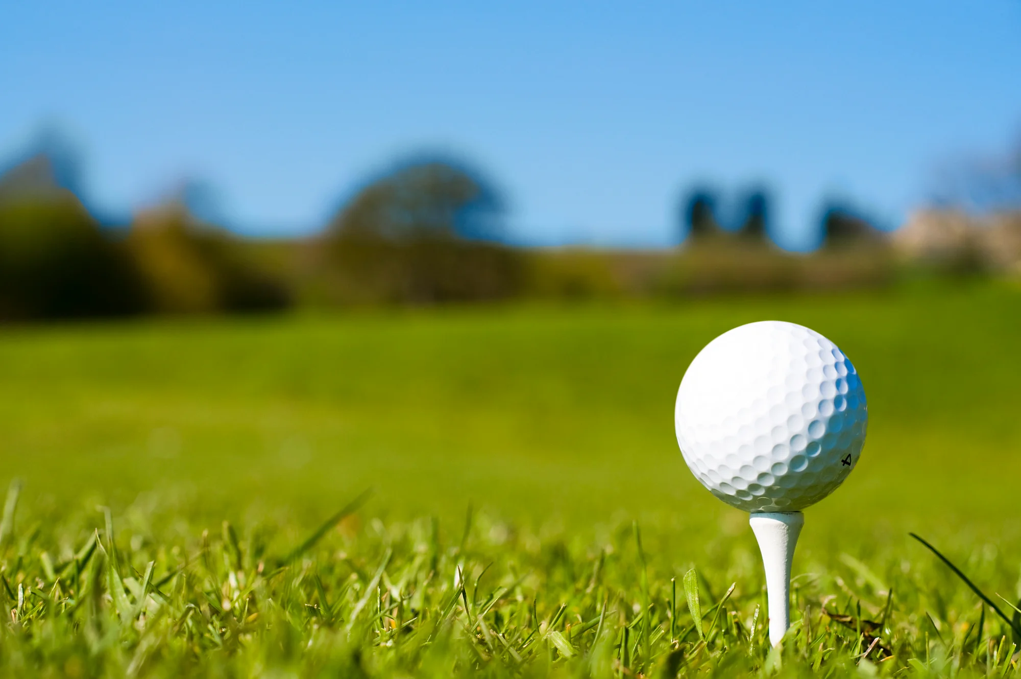 Golf ball on a tee at a practice range