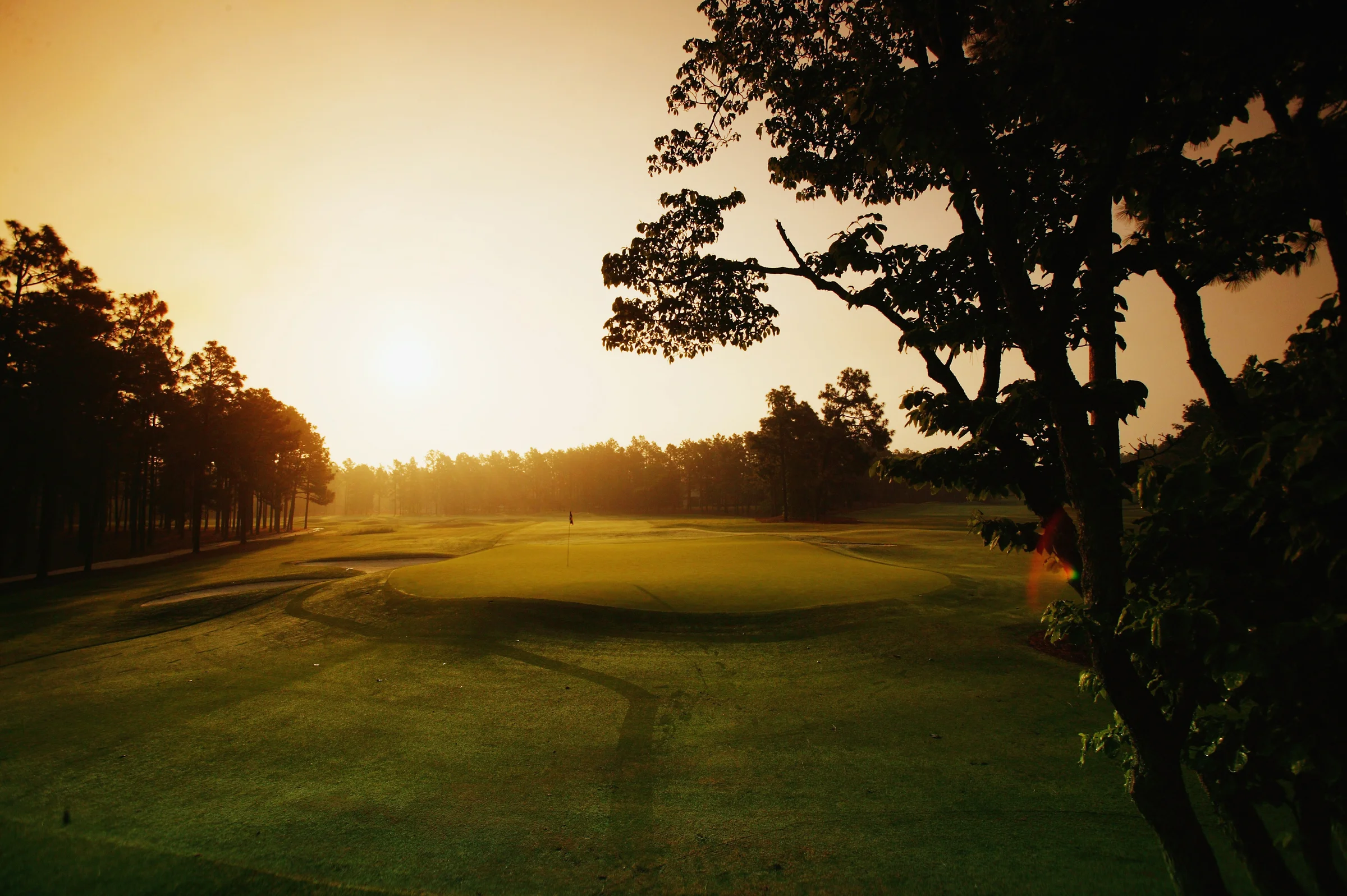Pinehurst No. 2's 7th green