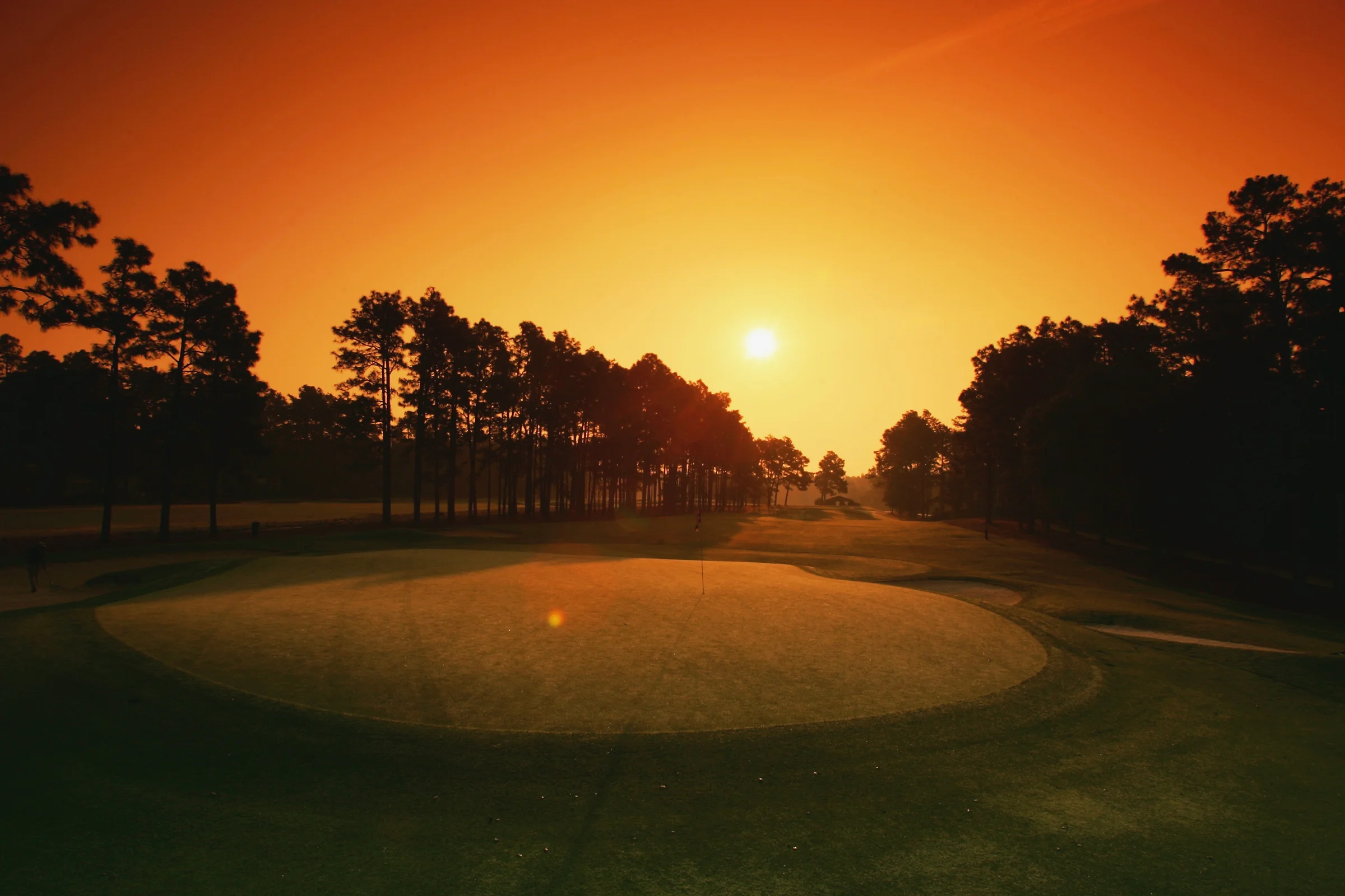 Signature Ross Turtleback green at Pinehurst No. 2
