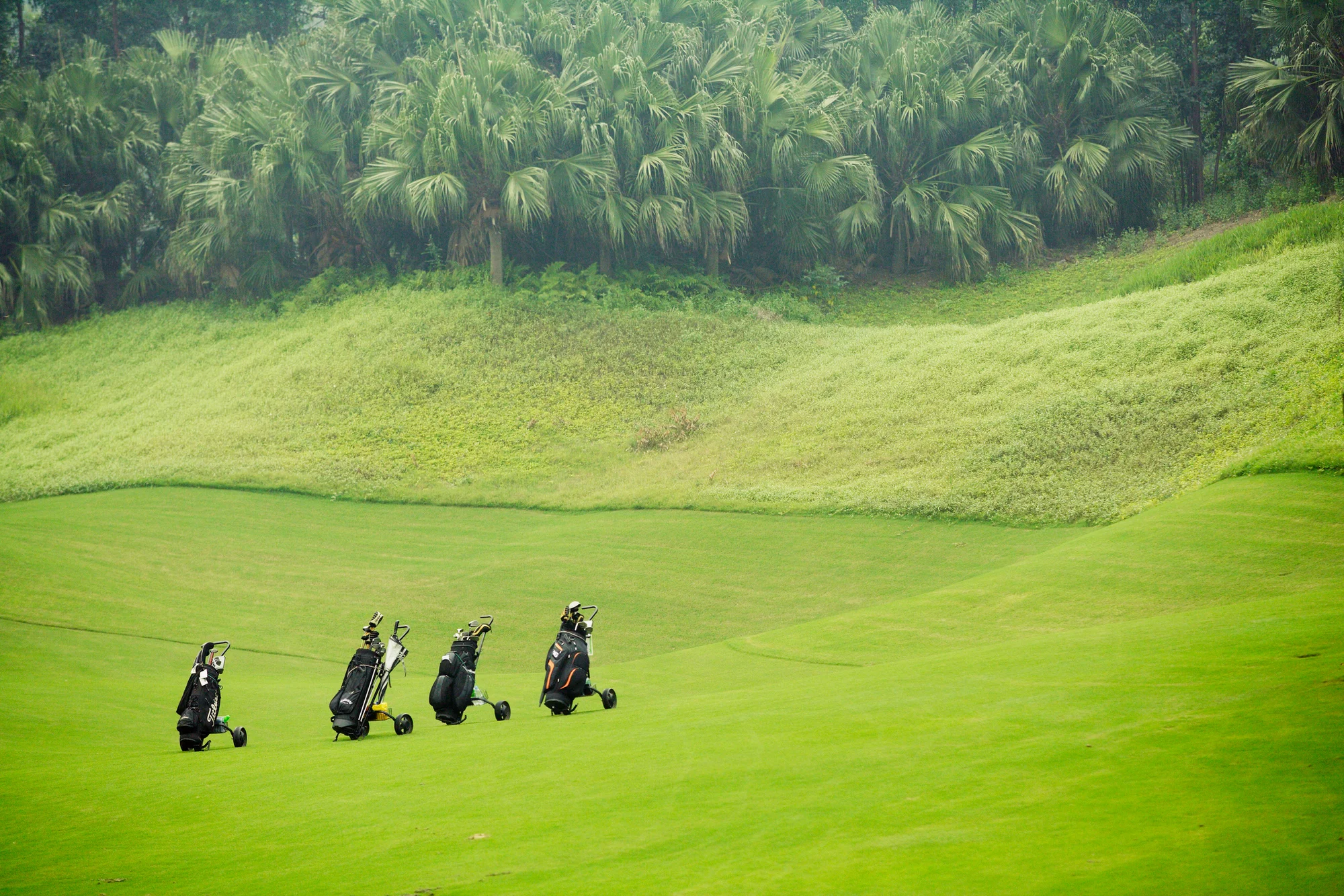 golf bags waiting in fairway