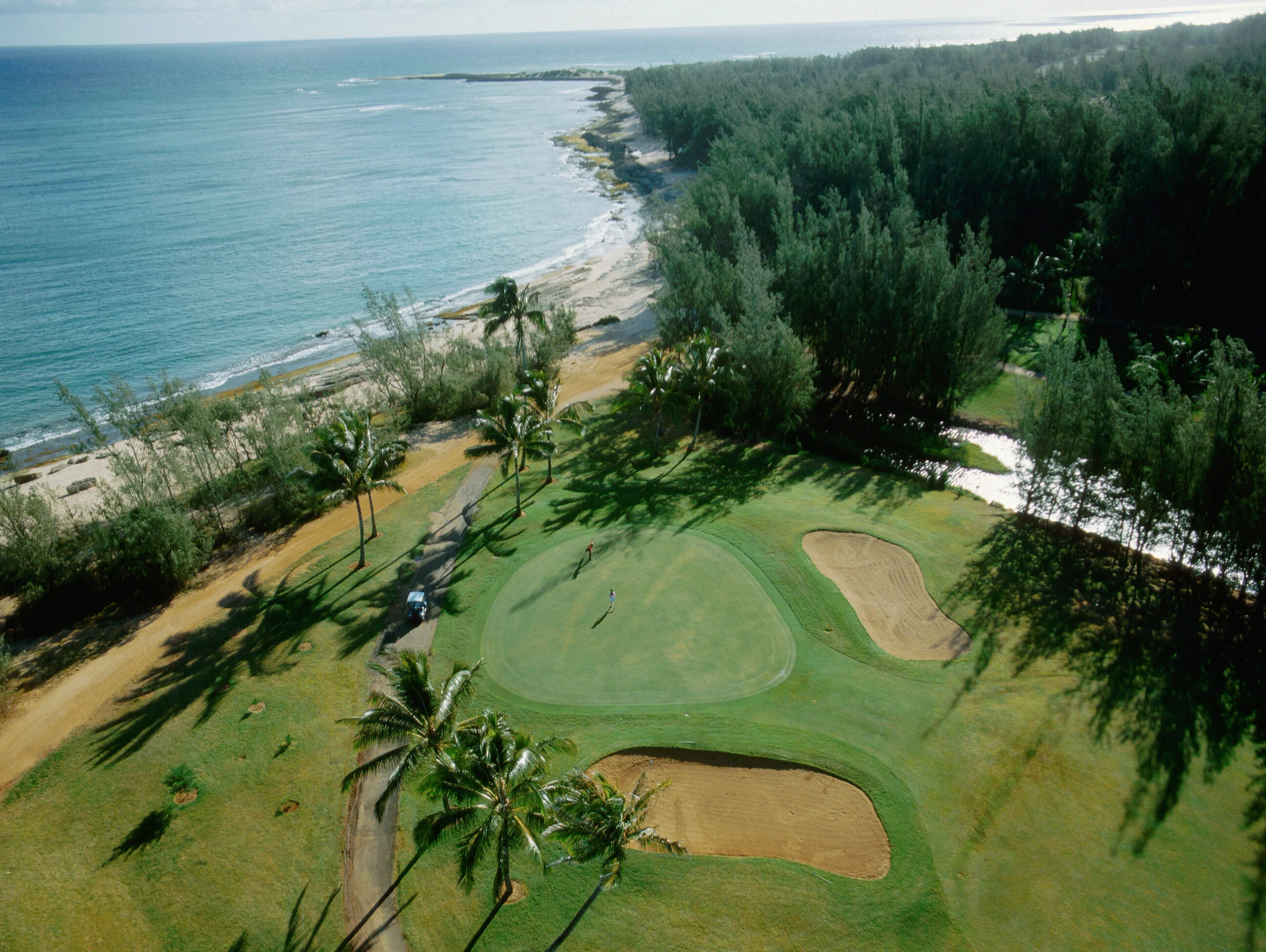 Golf course at Turtle Bay