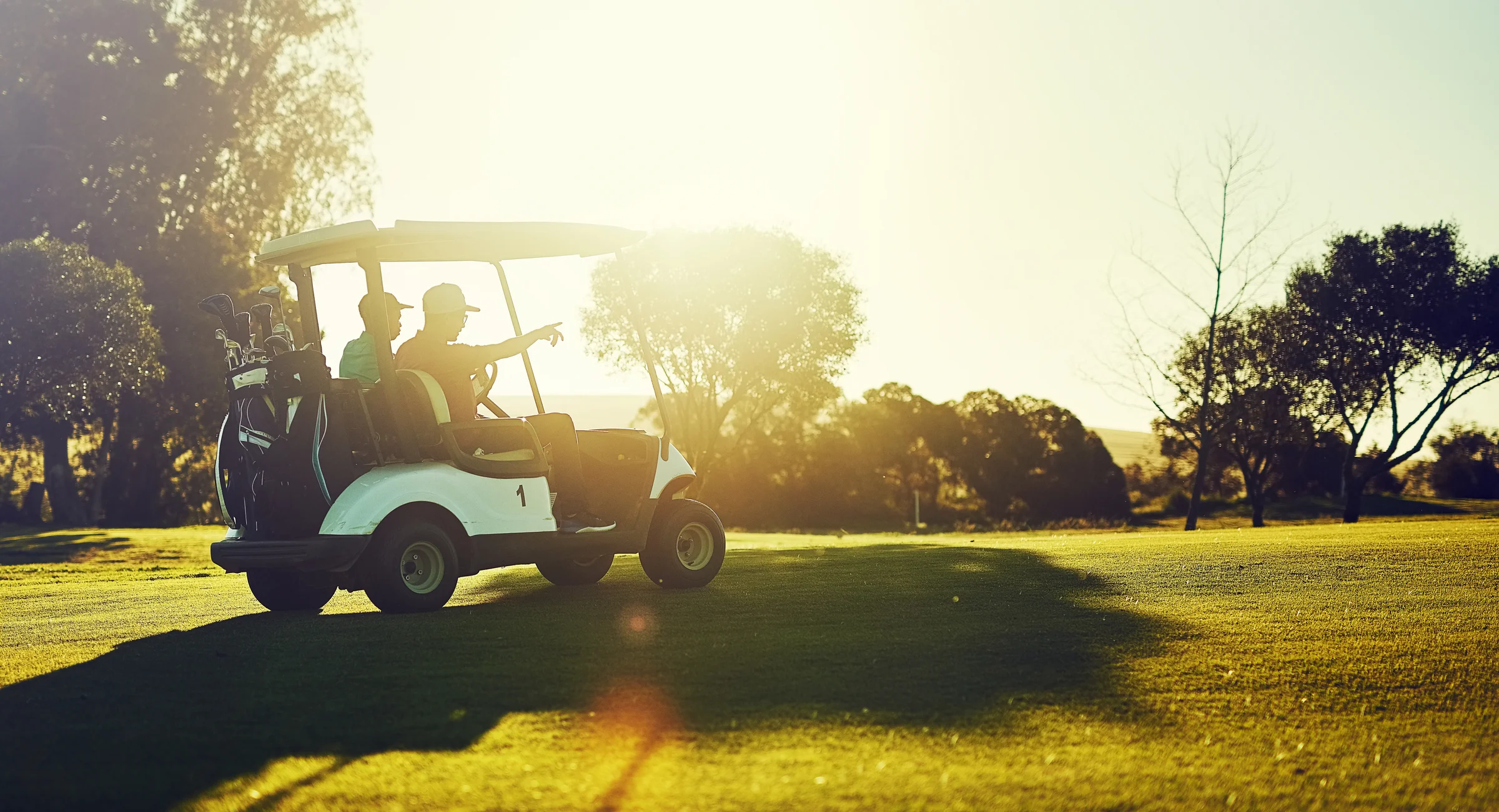 Two golfers in a cart