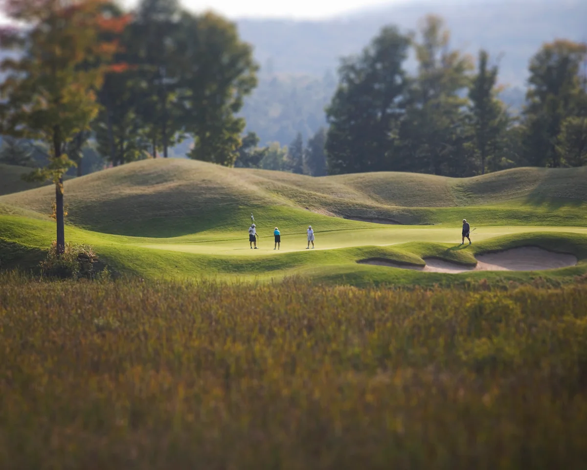 Four golfers on scenic putting green