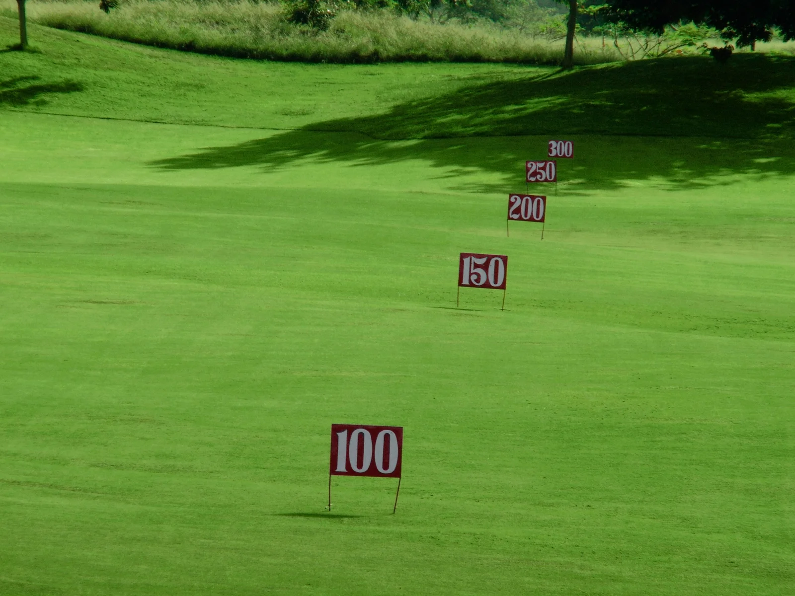 Driving Range with yardages marked