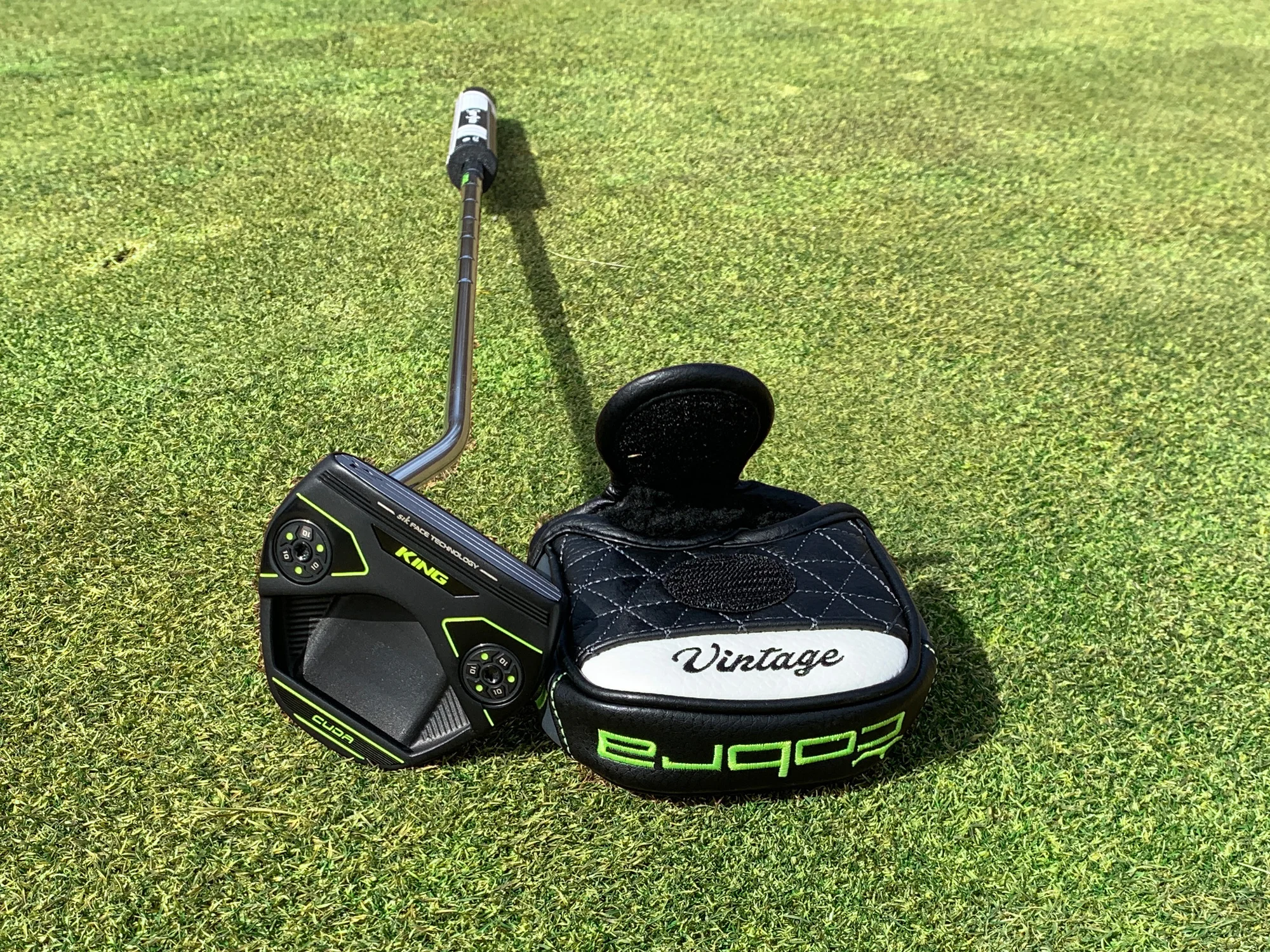 Cobra KING Vintage Cuda Putter with headcover on putting green