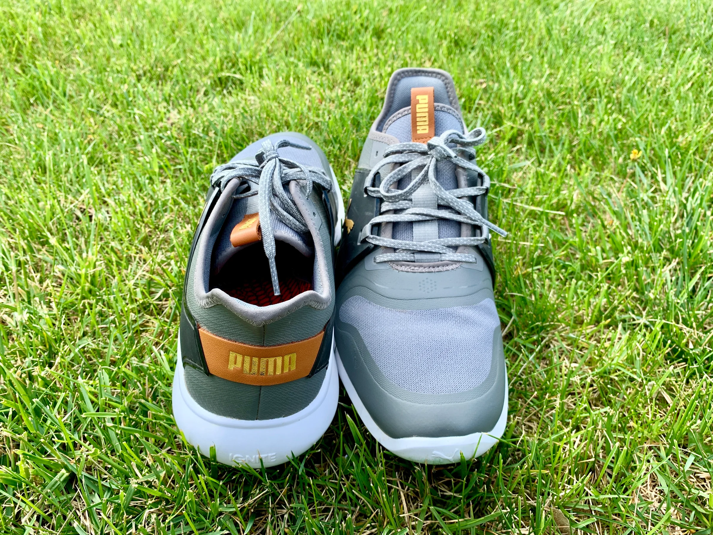 PUMA Ignite Fasten8 golf shoe
