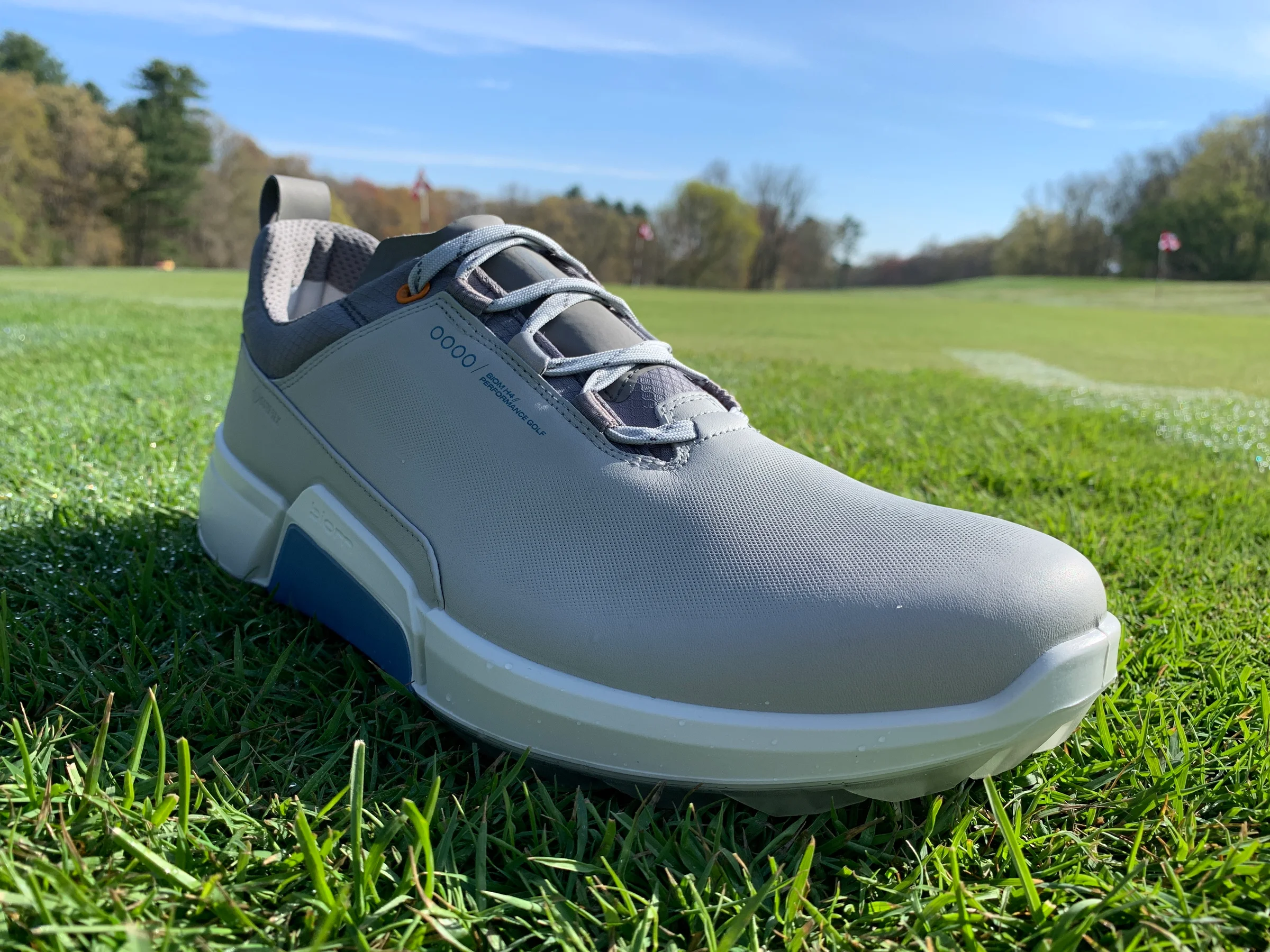 ECCO Biom H4 golf shoe