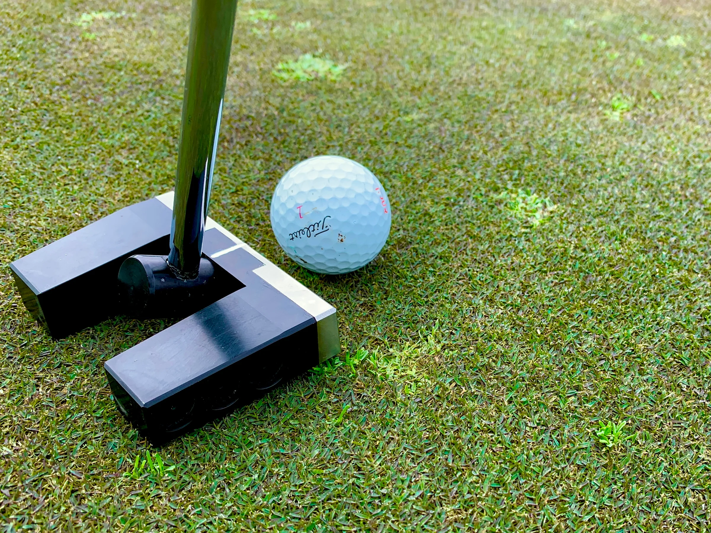 Incred Golf putter