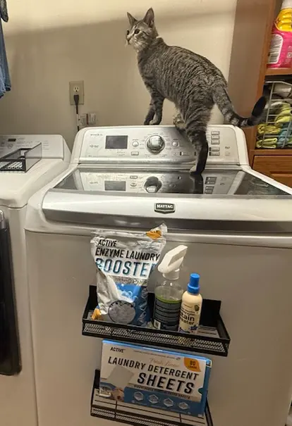 magnetic racks in laundry room