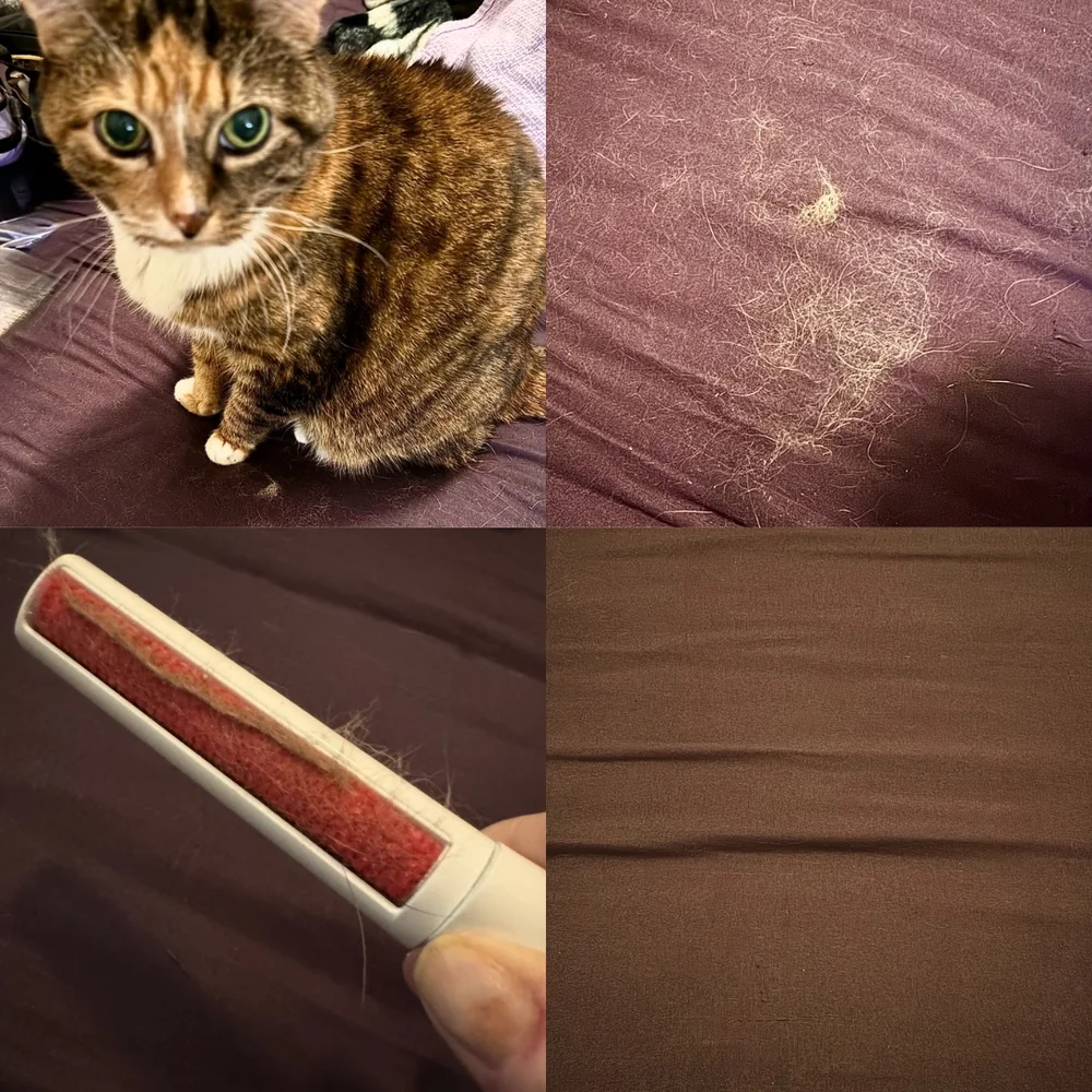 Mini chom before/after on cat fur