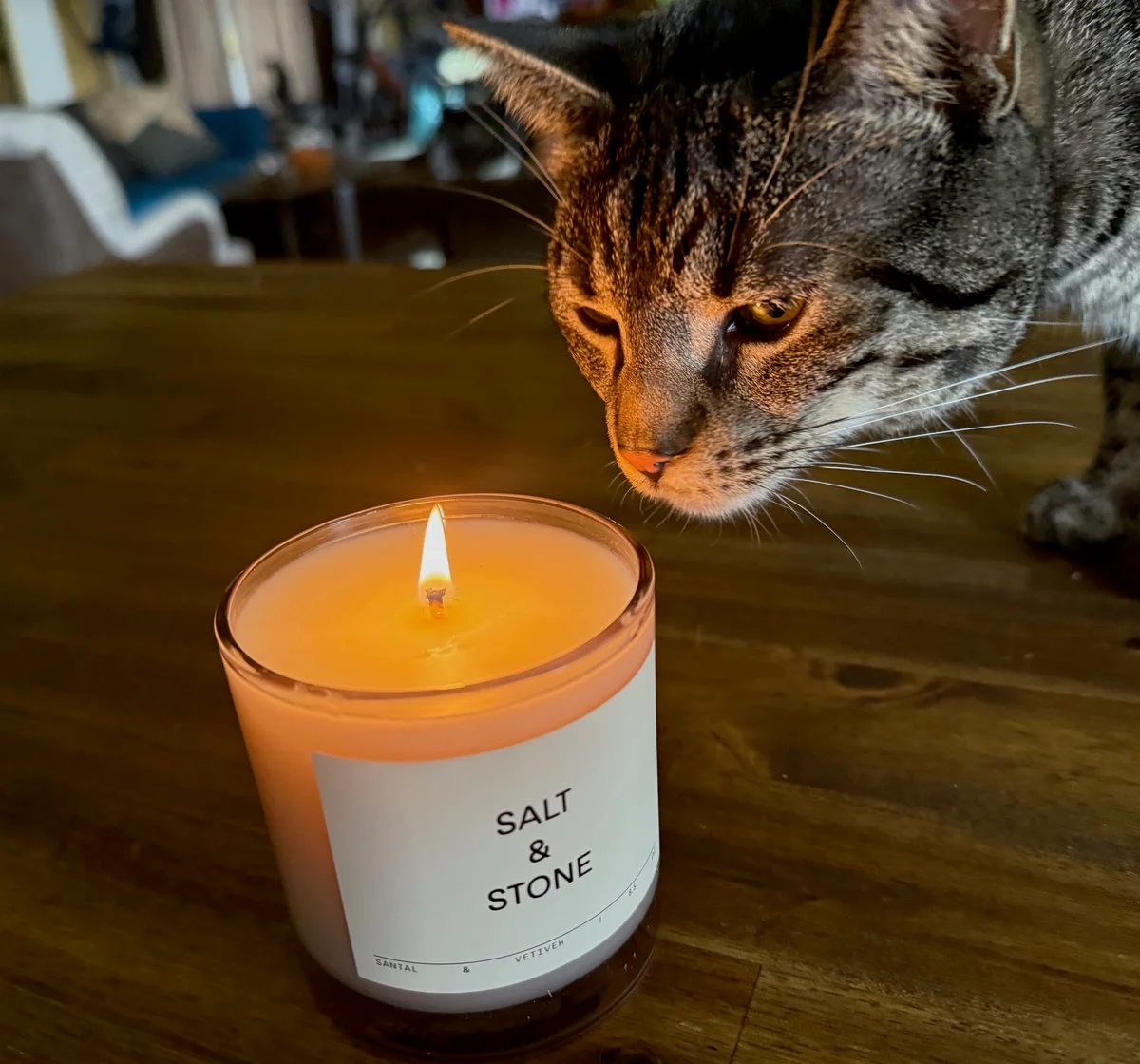 Salt and Stone Santal & Vetiver Candle