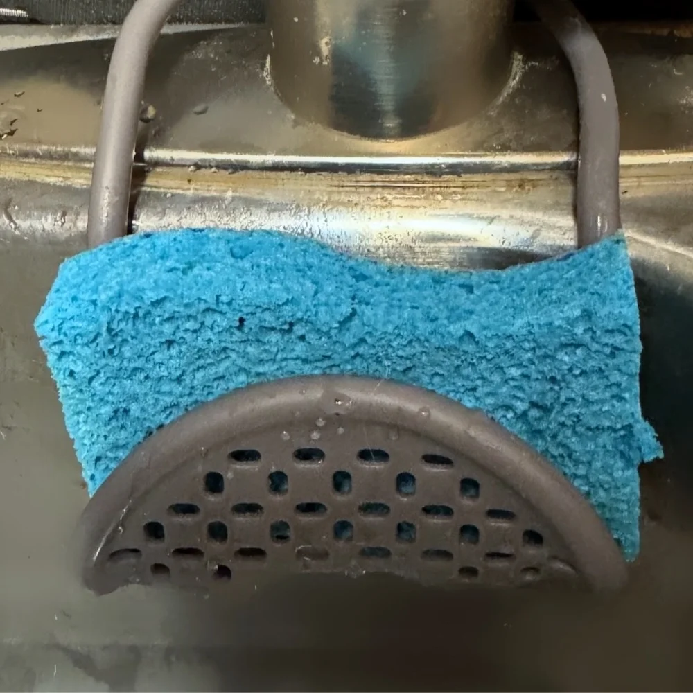 Terri N's My Sinkzy sponge sling