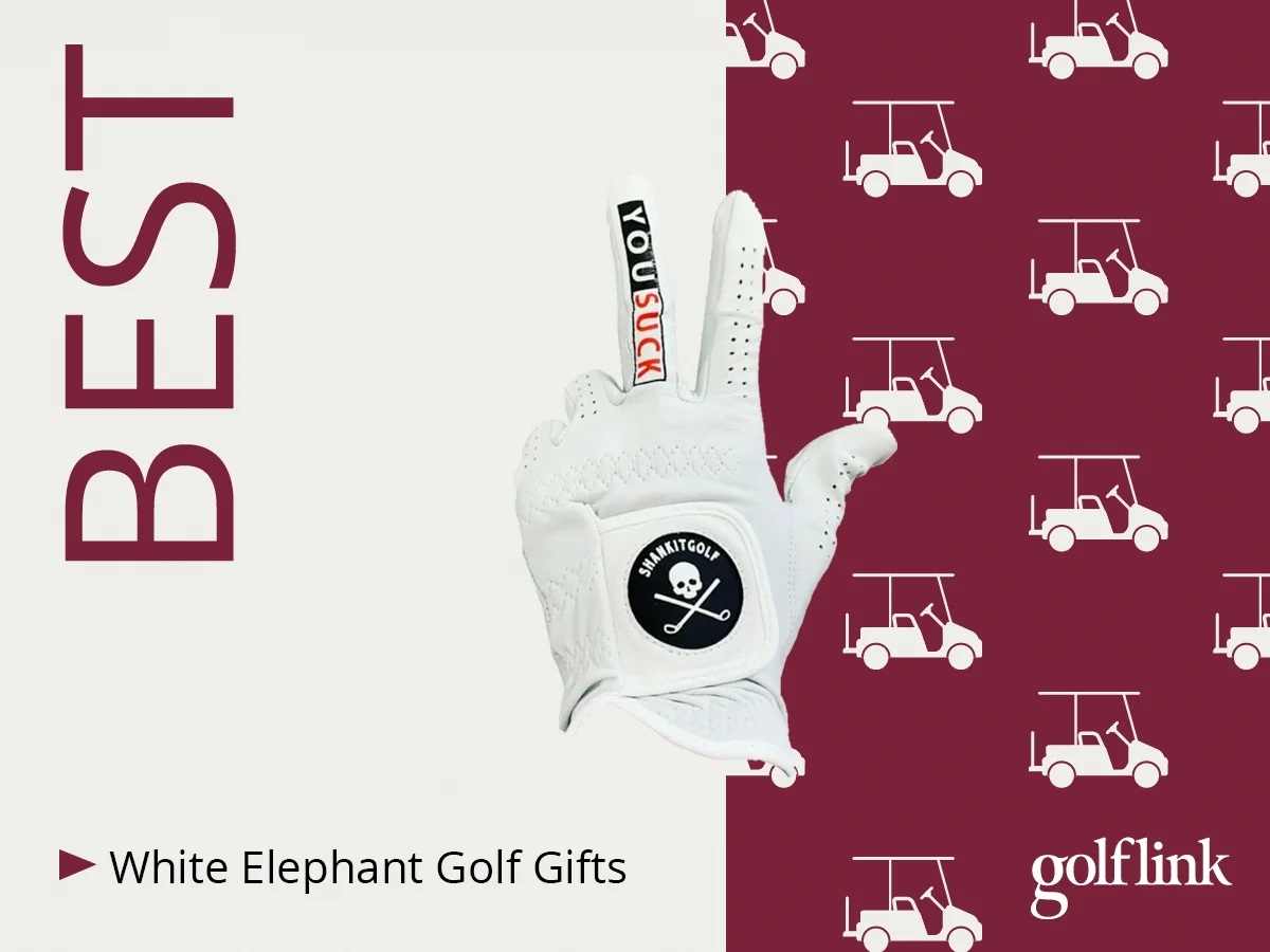 You Suck Funny Golf Glove