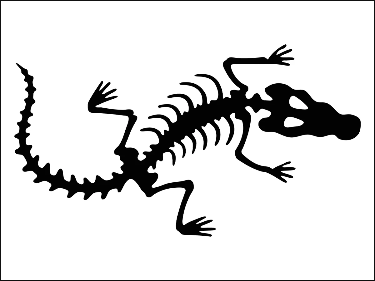 Bone Valley logo