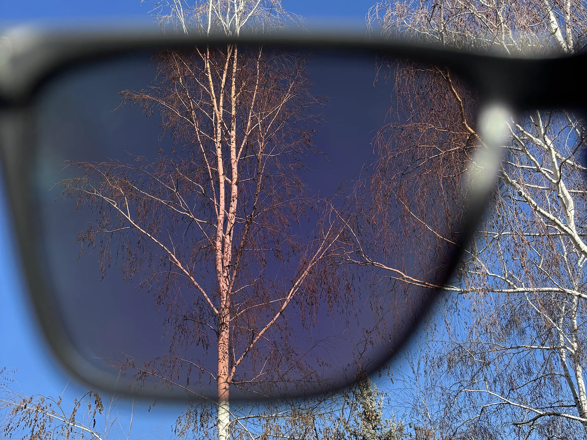 Knockaround knockterra+ lens