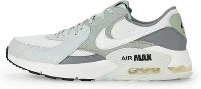 Nike Air Max shoes