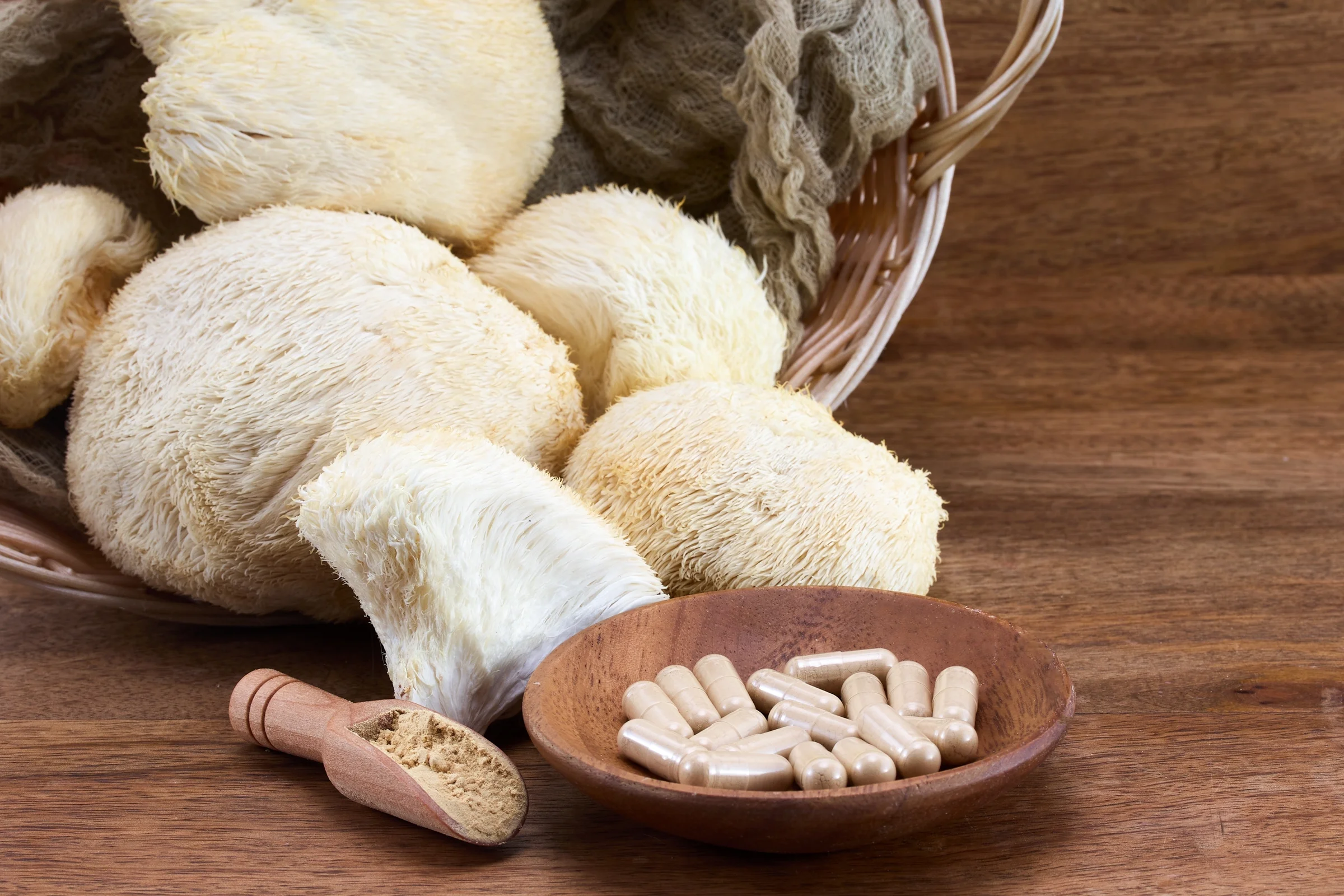 Lions mane mushrooms