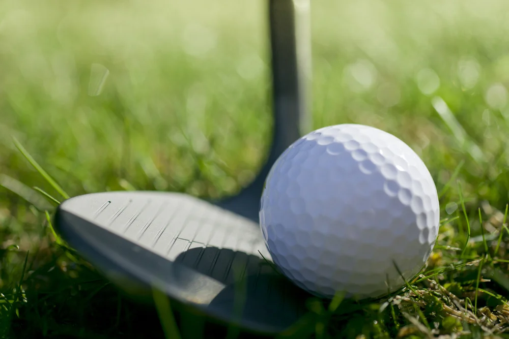 Golf wedge at the address position